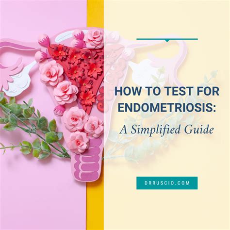 endometriose test neu
